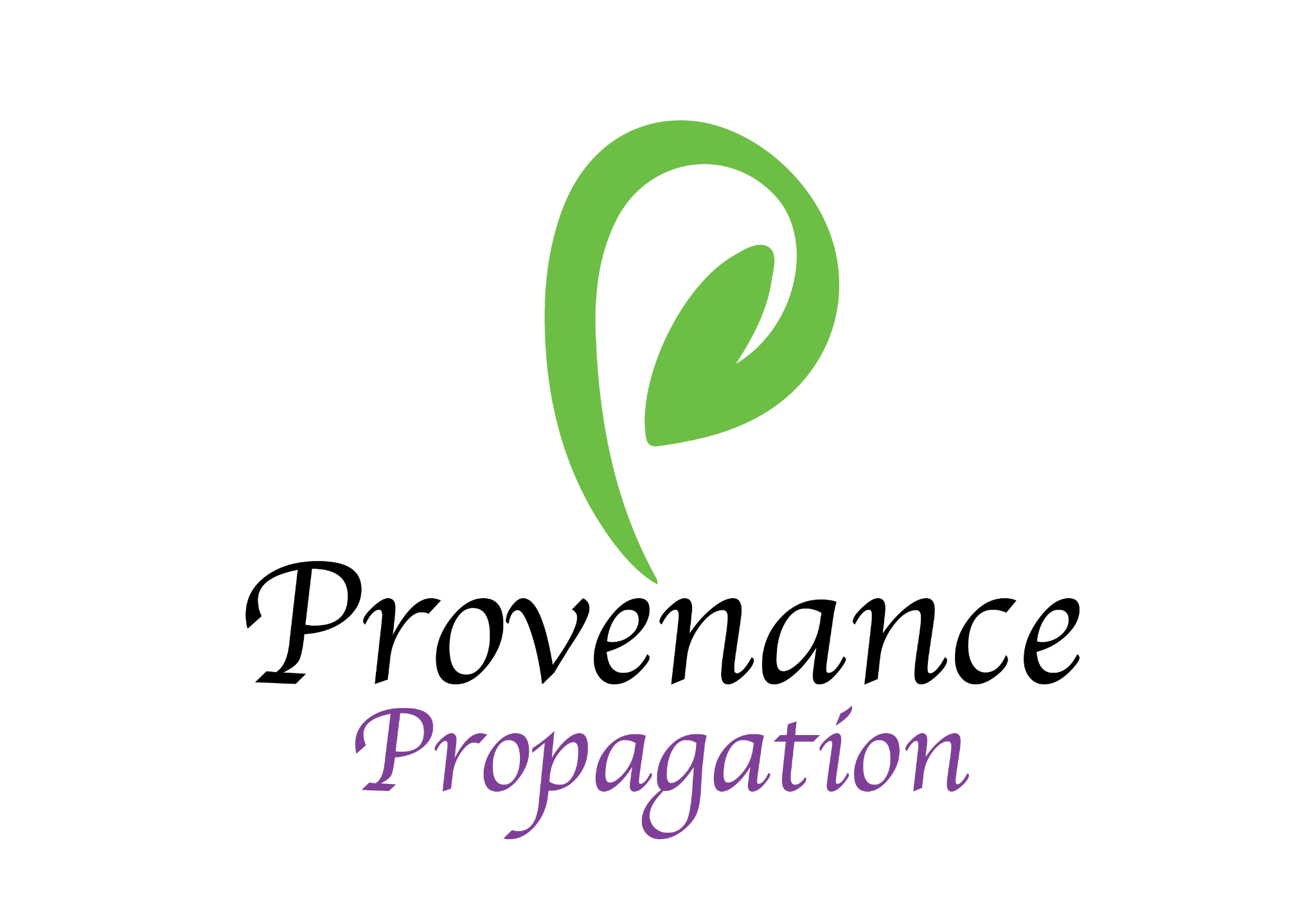 Provenance Propagation